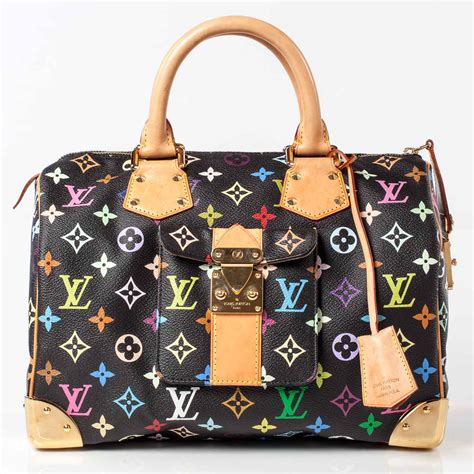 multicolor louis vuitton speedy|louis vuitton speedy handbags.